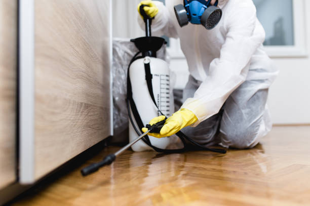 Best Wasp Removal Services  in Southchase, FL